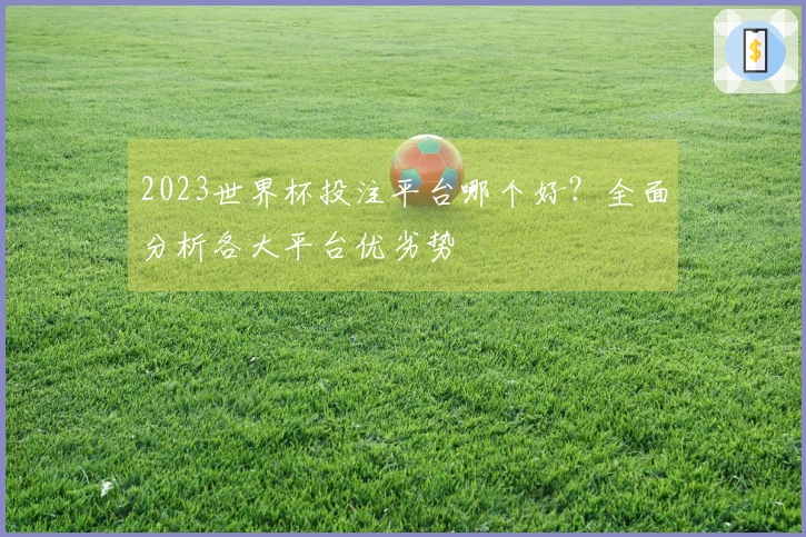 2023世界杯投注平台哪个好？全面分析各大平台优劣势