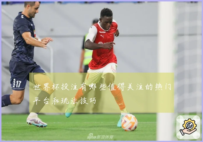 世界杯投注有哪些值得关注的热门平台和玩法技巧