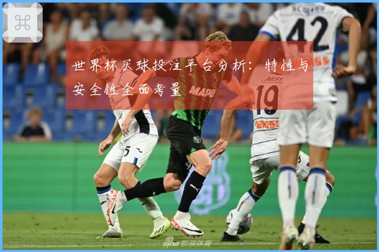 世界杯买球投注平台分析：特性与安全性全面考量