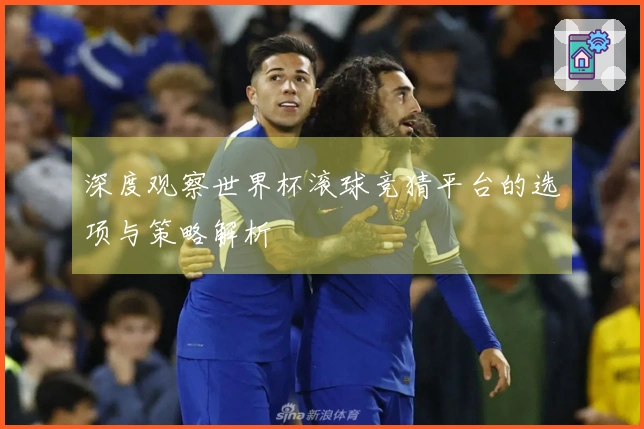 深度观察世界杯滚球竞猜平台的选项与策略解析