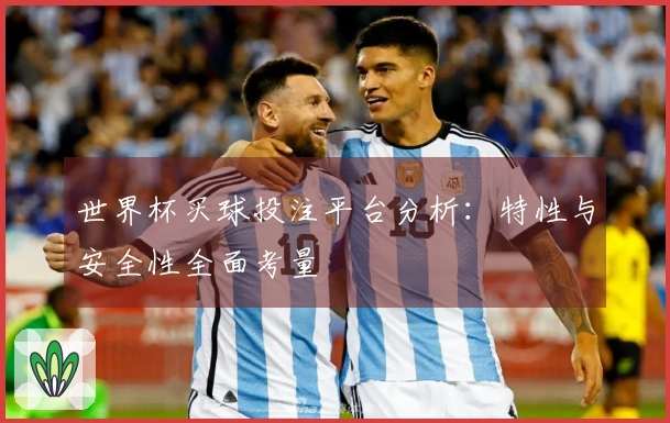 世界杯买球投注平台分析:特性与安全性全面考量