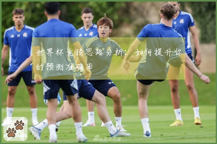世界杯竞猜思路分析:如何提升你的预测准确率