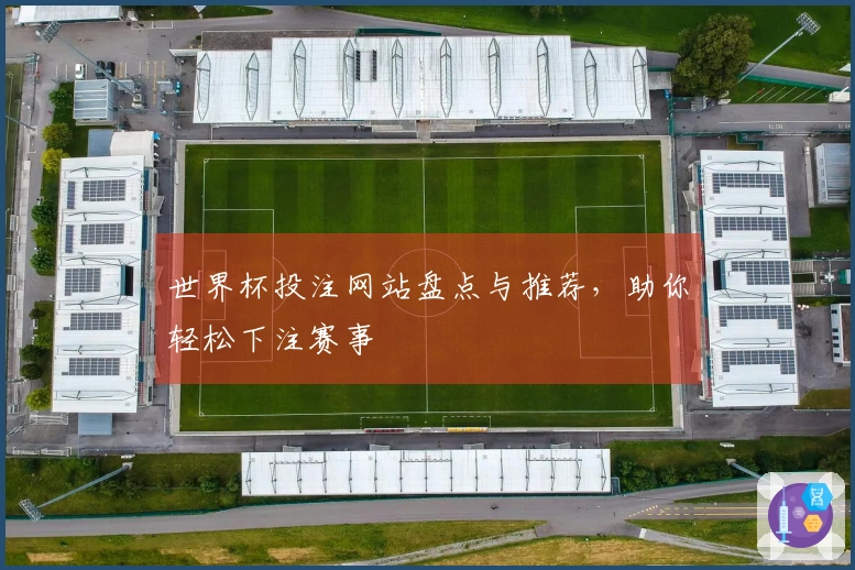 世界杯投注网站盘点与推荐,助你轻松下注赛事
