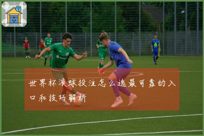 世界杯滚球投注怎么选最可靠的入口和技巧解析