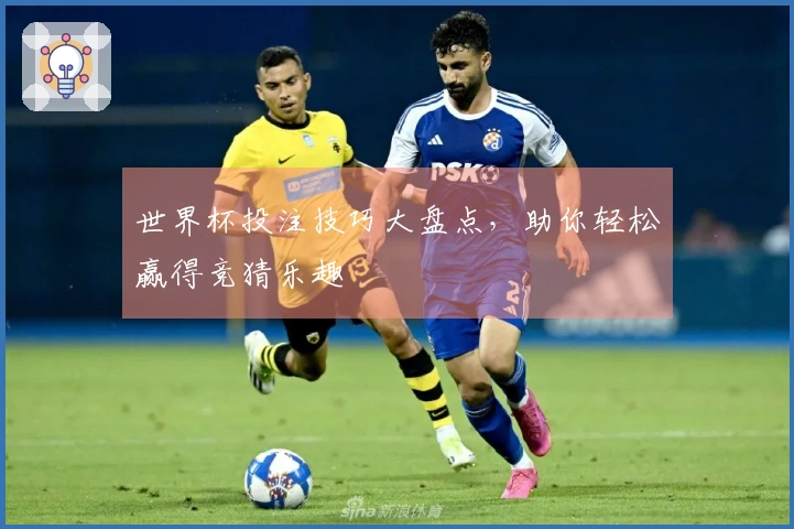 世界杯投注技巧大盘点,助你轻松赢得竞猜乐趣