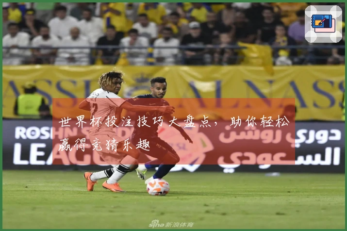 世界杯投注技巧大盘点，助你轻松赢得竞猜乐趣
