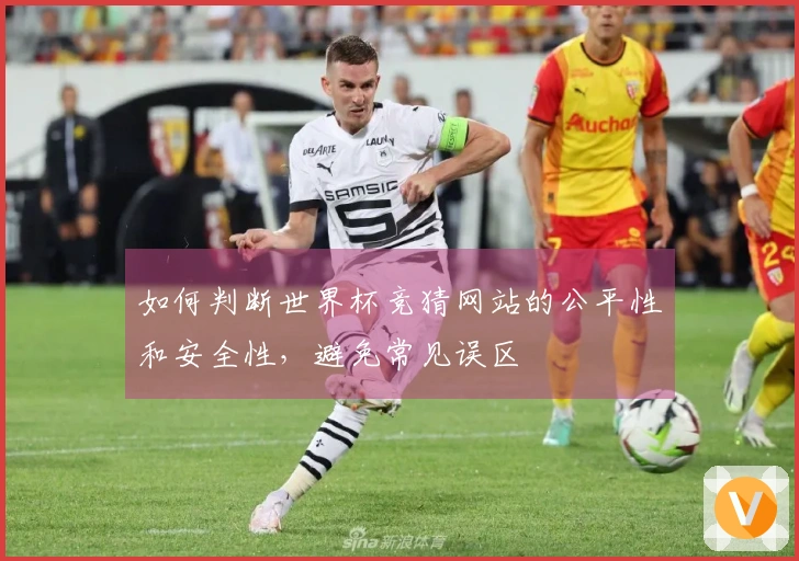 如何判断世界杯竞猜网站的公平性和安全性，避免常见误区