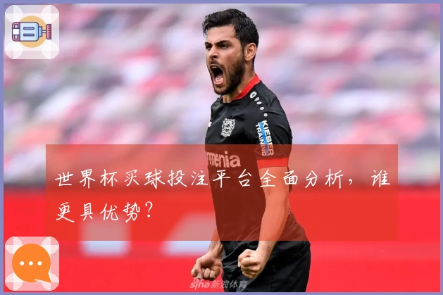 世界杯买球投注平台全面分析，谁更具优势？