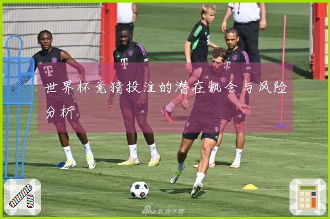 世界杯竞猜投注的潜在机会与风险分析
