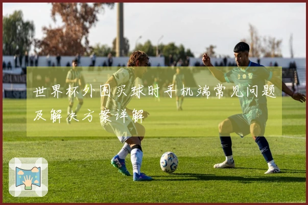 世界杯外围买球时手机端常见问题及解决方案详解